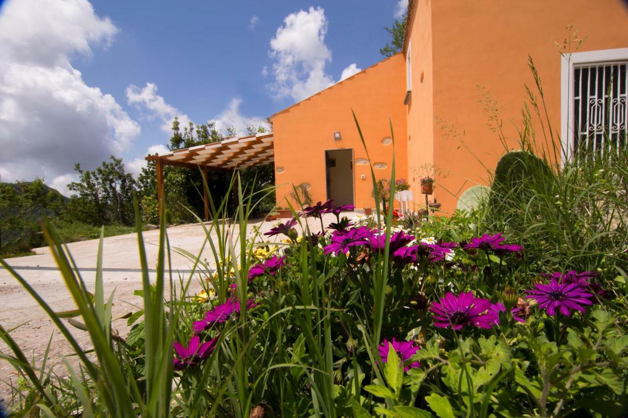 B&B Casa Vacanze Benvenuti Al Sud Aiello Calabro Exterior foto